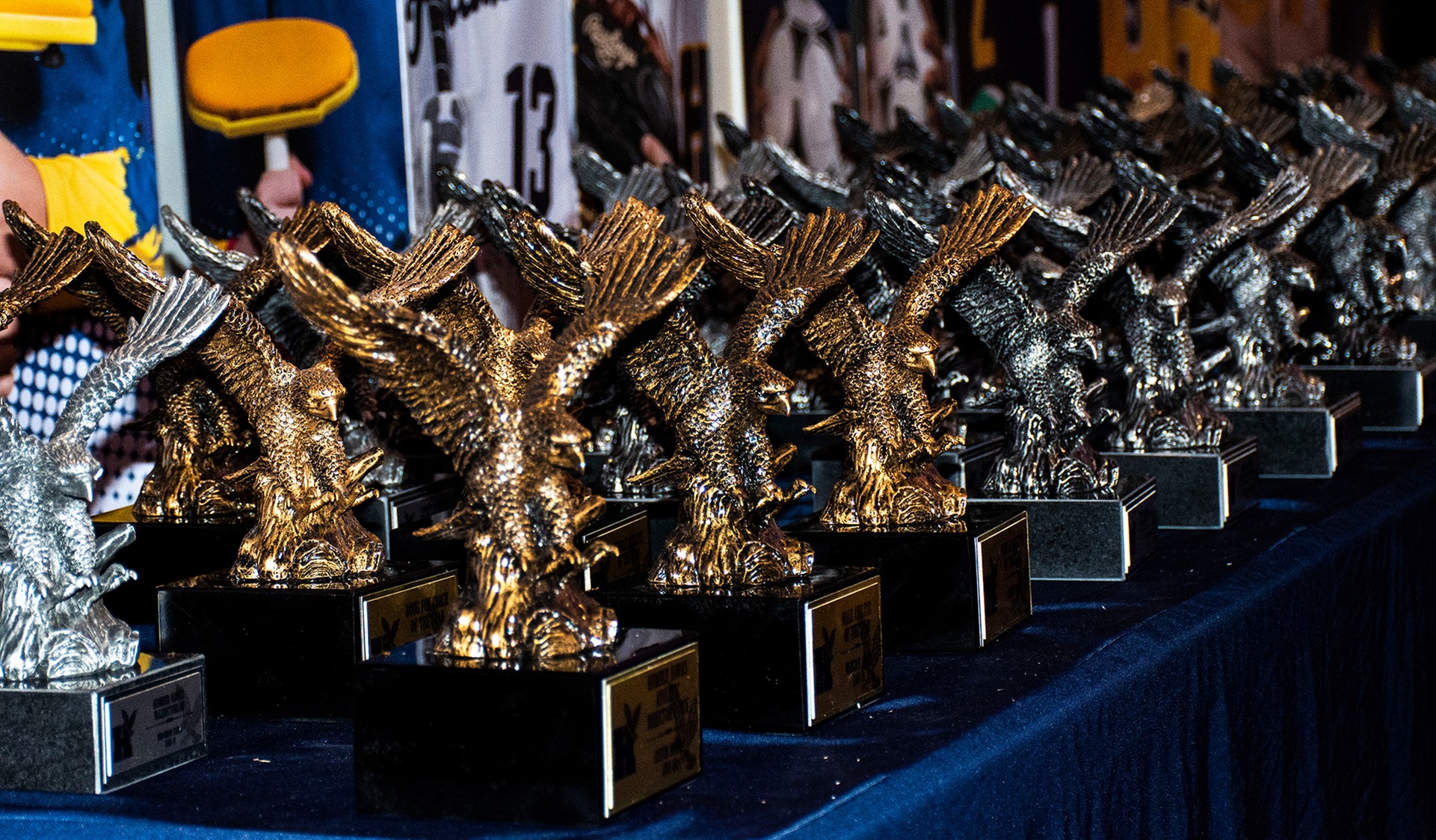 Humber Athletics Set to Announce Year-End Award Winners April 6