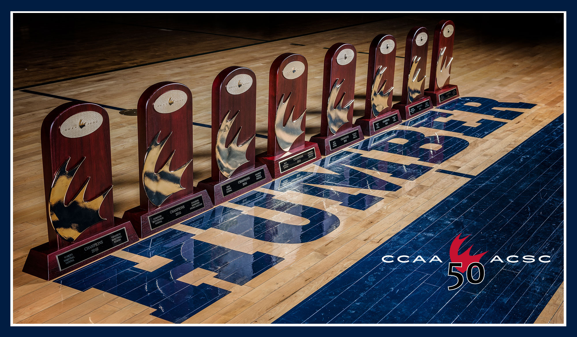 CCAA names the top 50 athletes from the four fall sports