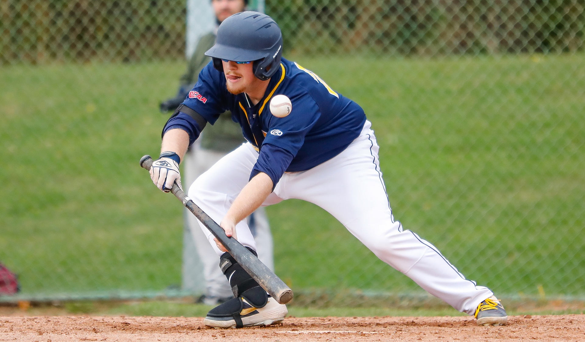 Hawks Surrender 6 Runs In Last Inning To Drop National Bronze Medal Game