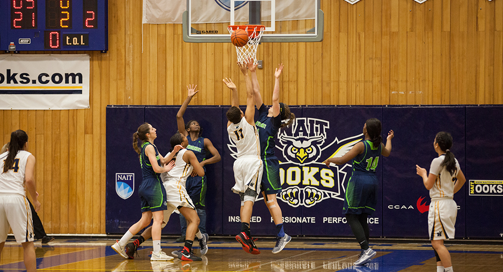 HAWKS ADVANCE TO CCAA BRONZE MEDAL FINAL