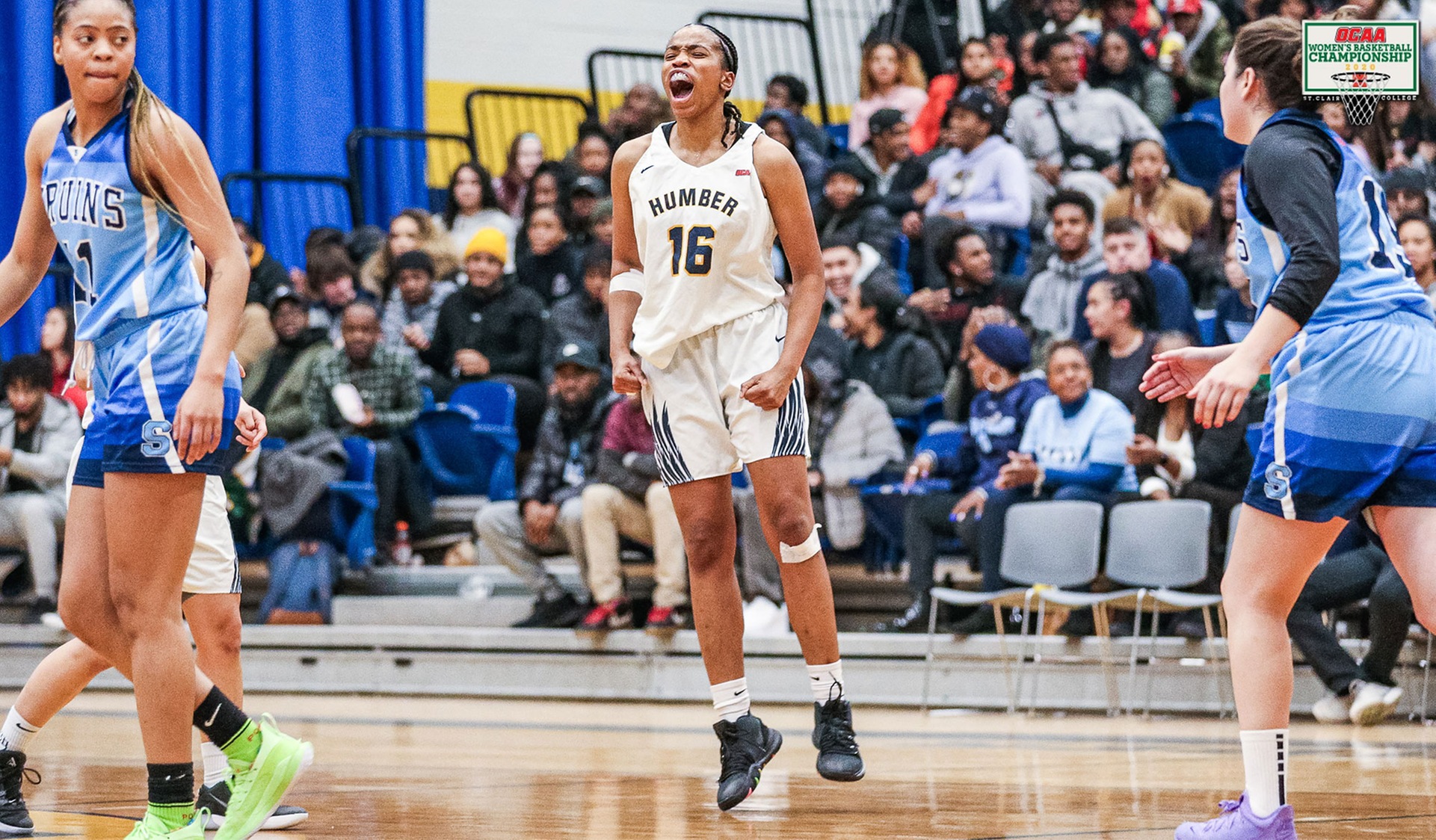 No. 8 Women&rsquo;s Basketball Advances to Final Four, Defeats Sheridan, 85-66