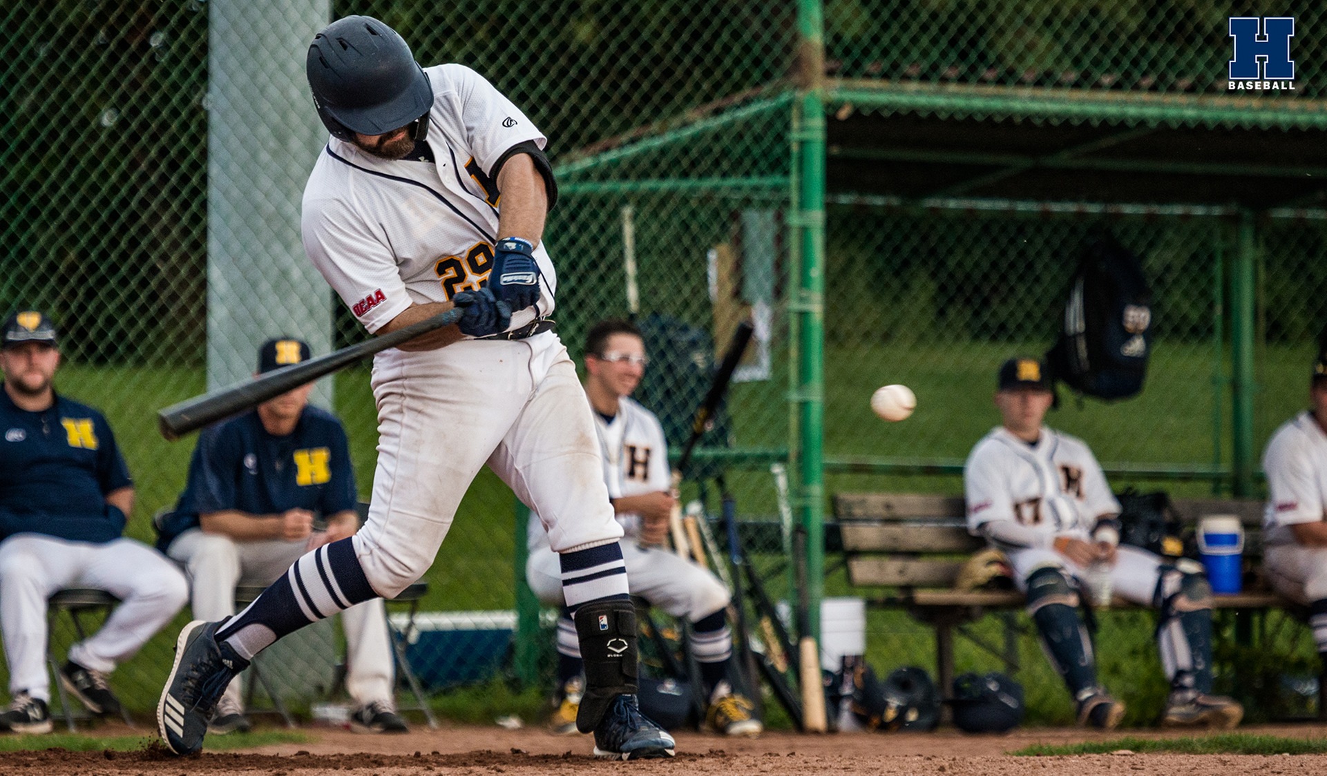 Baseball Blanks George Brown in Home Opener