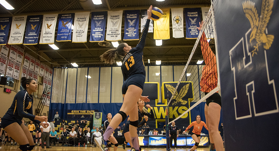 HAWKS ROLL PAST MOUNTAINEERS, 3-0