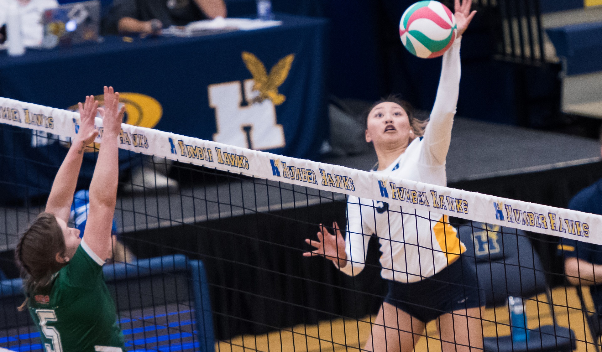 ALUMNI GAME GOES FIVE SETS BEFORE CURRENT HAWKS PREVAIL