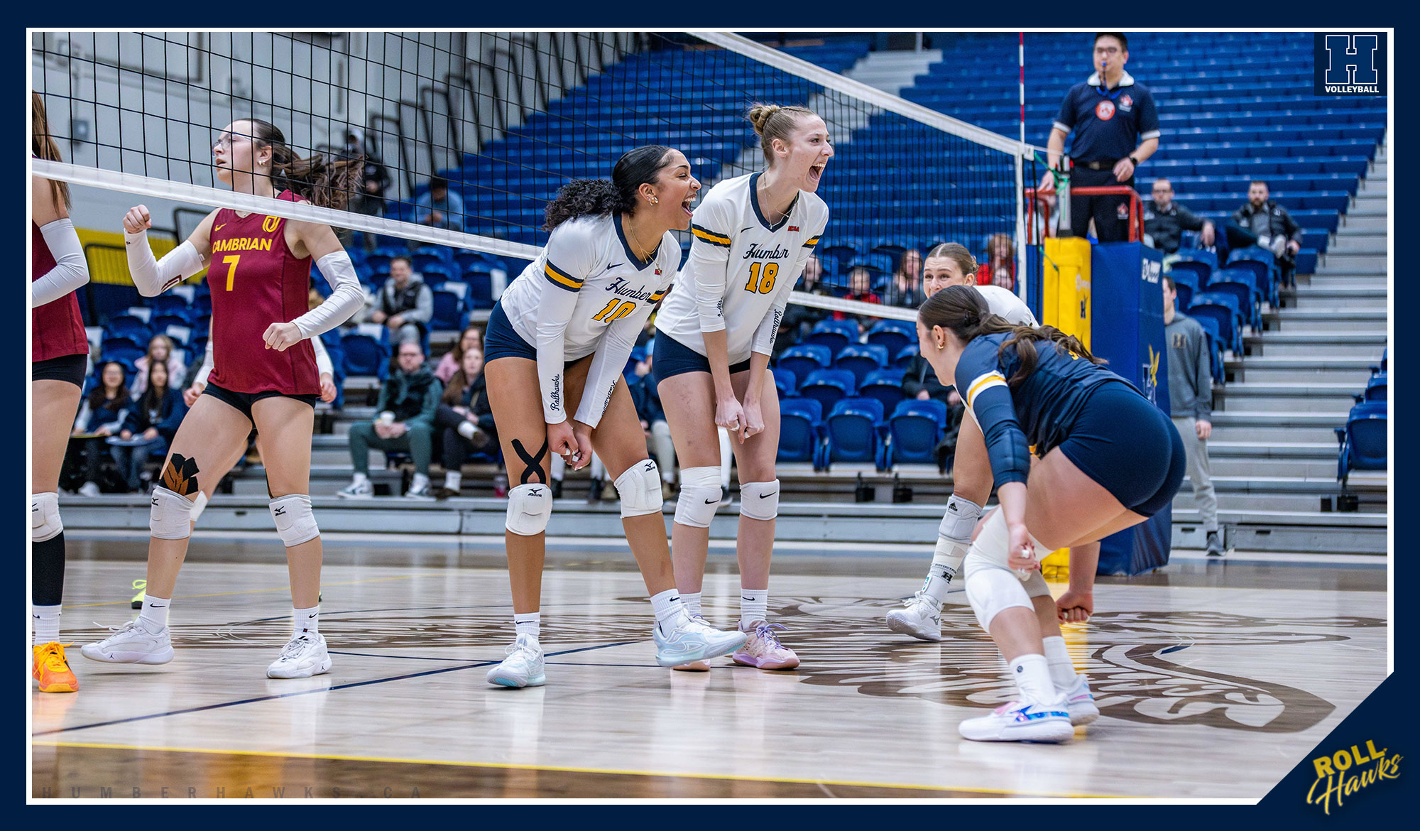 OCAA women's volleyball final four goes through Humber