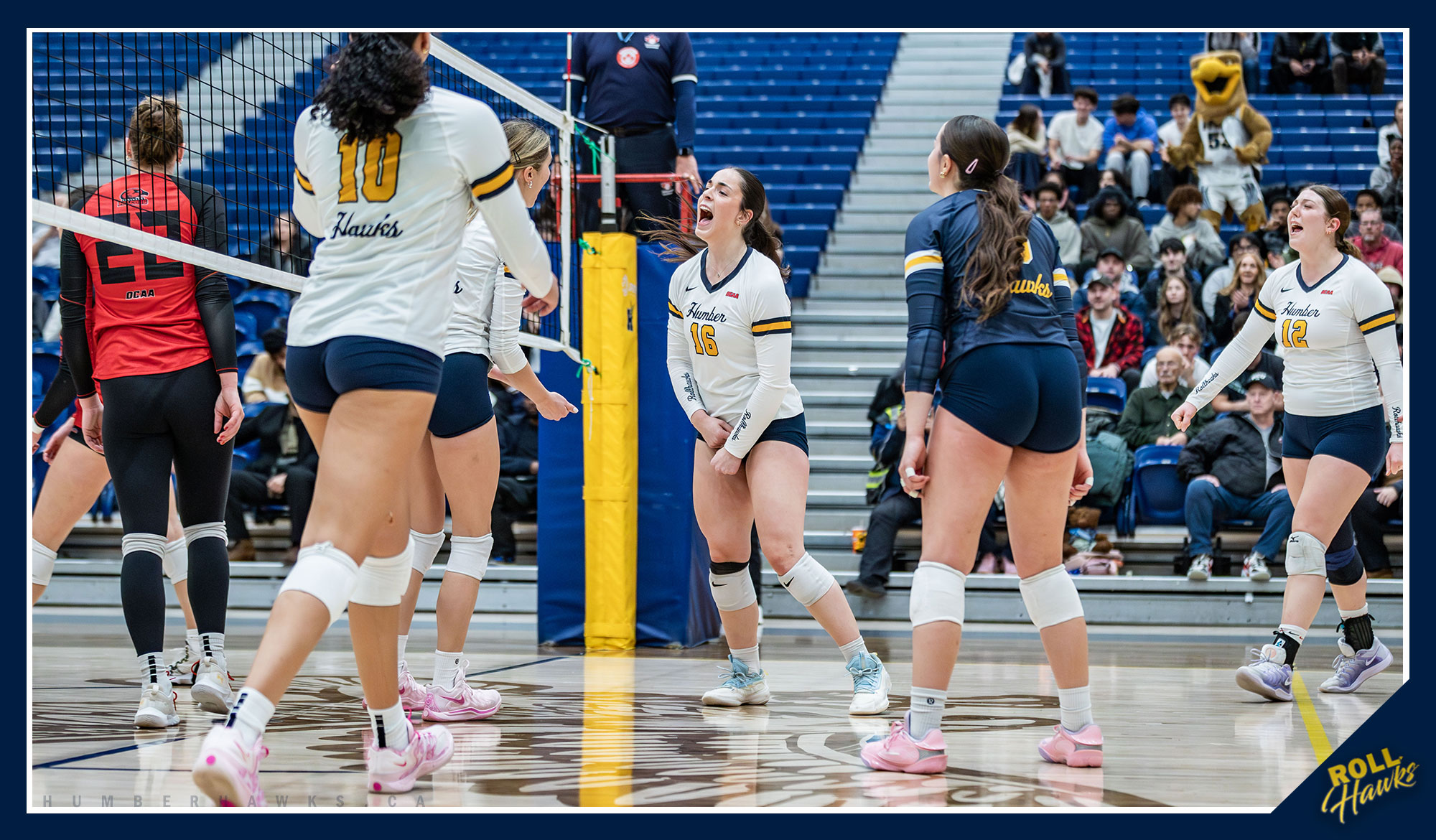 Eight straight victories for No. 1 Women&rsquo;s Volleyball to open the season