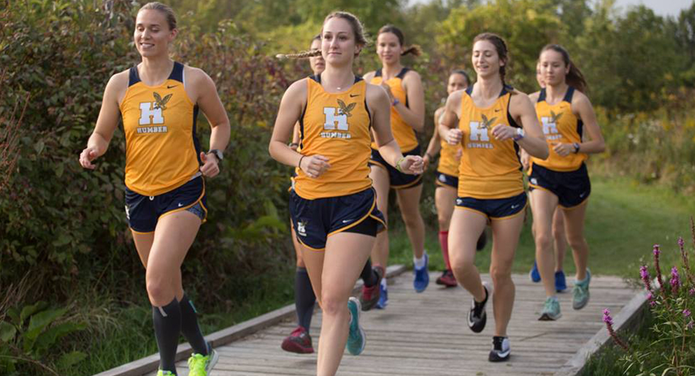 CROSS COUNTRY COMPETES AT SENECA; SHUVERA, VEENSTRA LEAD HAWKS